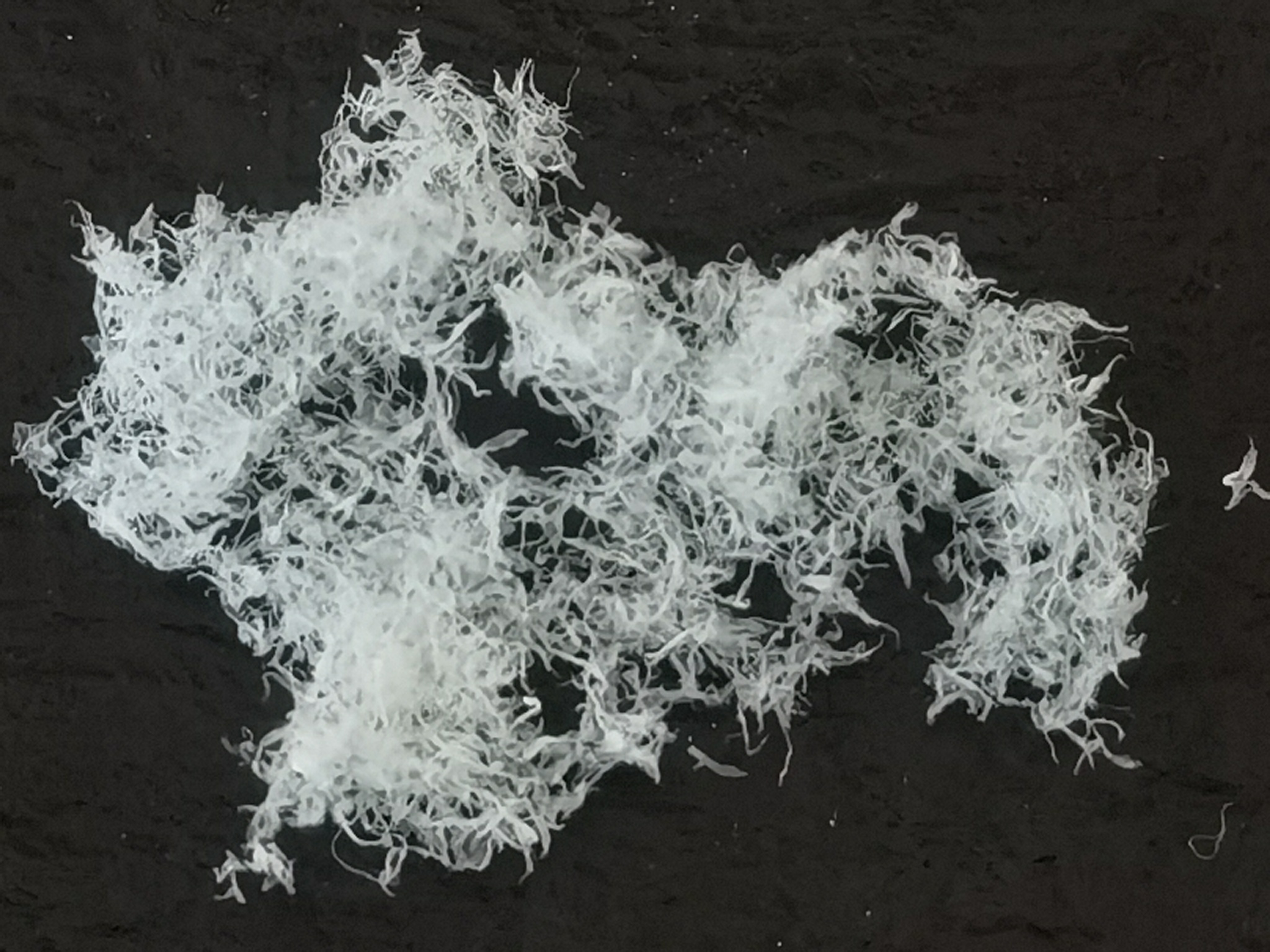 间位芳纶沉析纤维